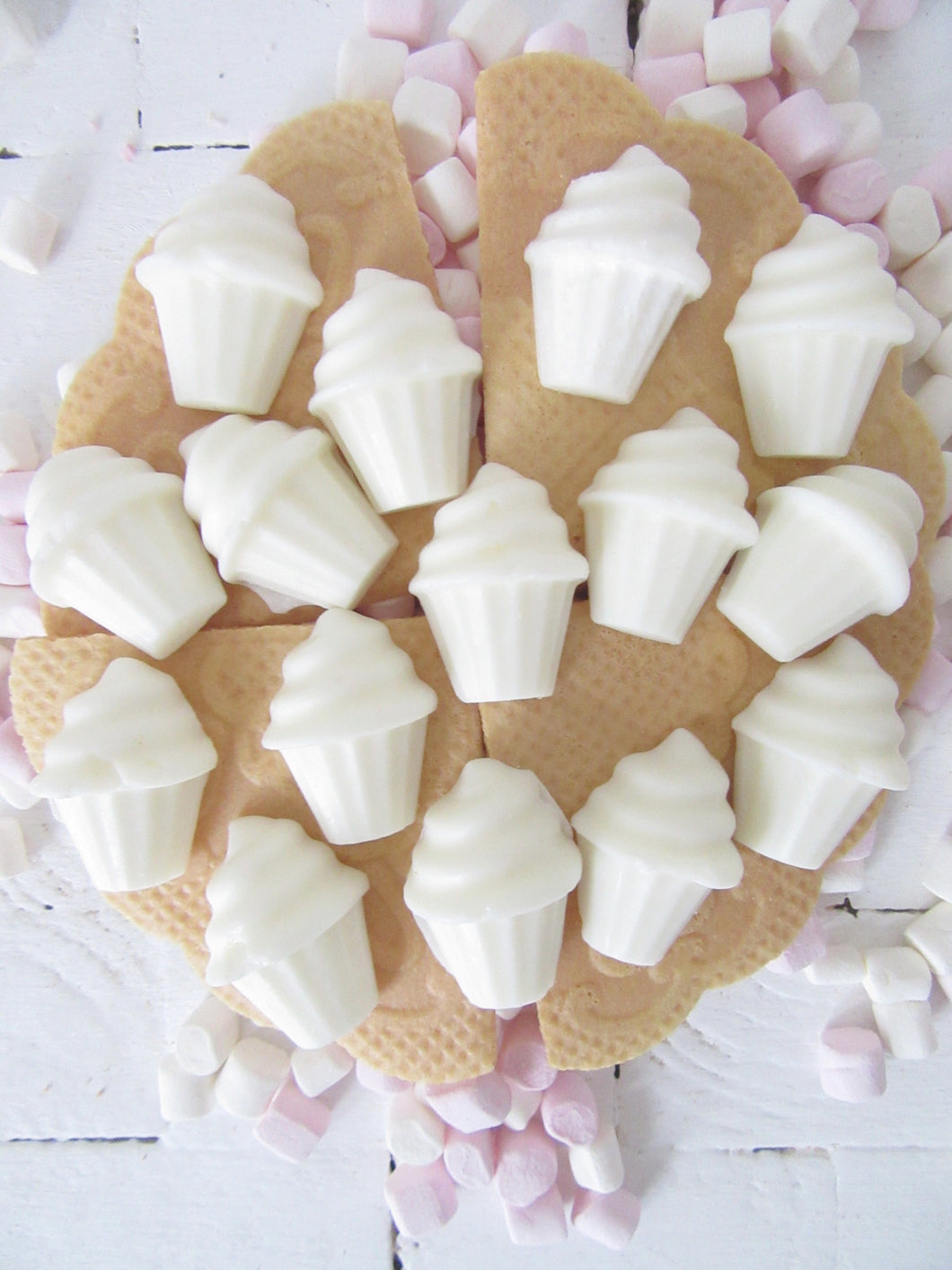 Snickerdoodle Surprise
